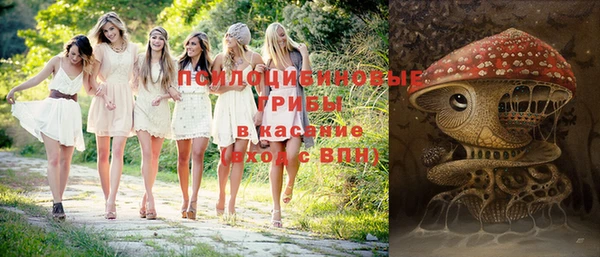 прущие грибы Балабаново