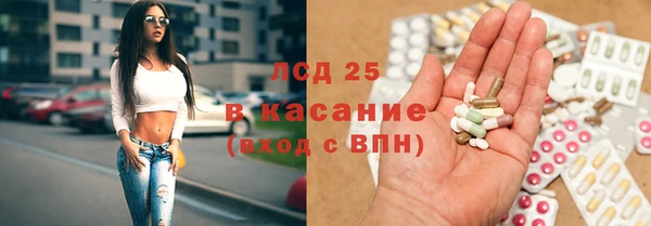 прущие грибы Балабаново