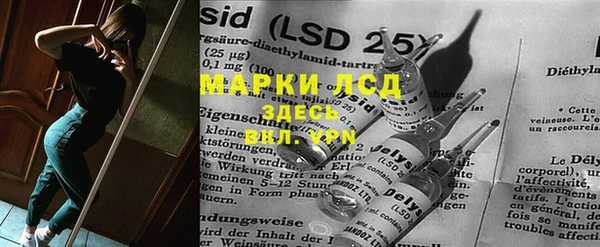 прущие грибы Балабаново