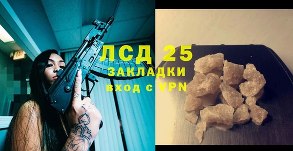 прущие грибы Балабаново