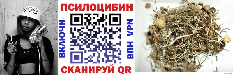 Псилоцибиновые грибы прущие грибы  MEGA tor  Кувандык 